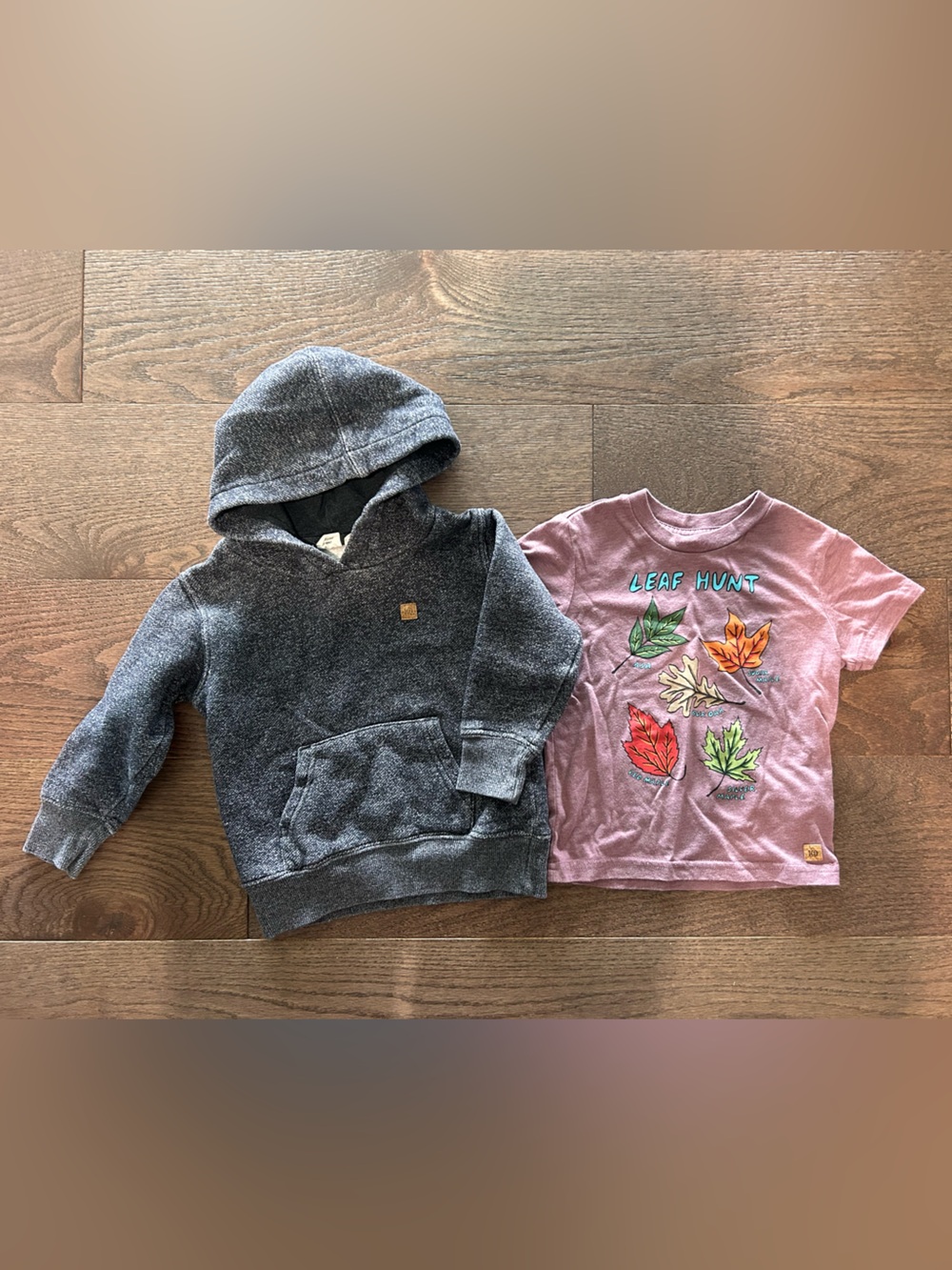 Lot of TenTree Size 2T Boy's Hoodie and Tee